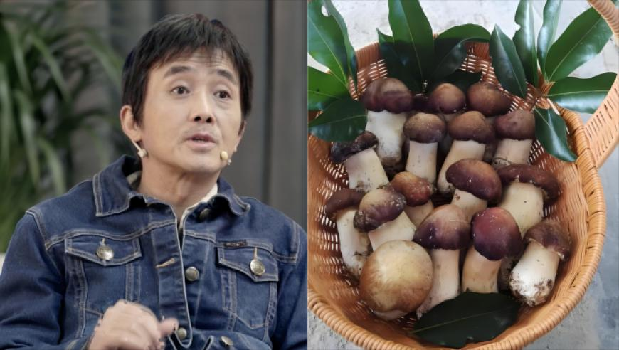 一家九位老师总教龄206年,2025澳门资料大全免费完整版管家婆澳门壹号,前瞻性战略落实探讨_精英版V1.52